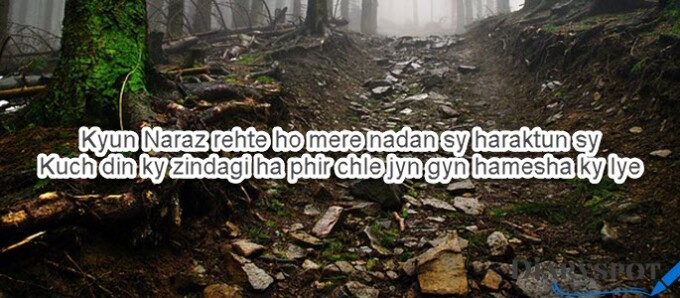 Narazgi Poetry text