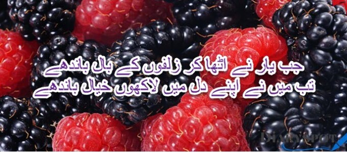 mirza muhammad rafi poetry