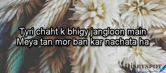 Sufi shayari in english