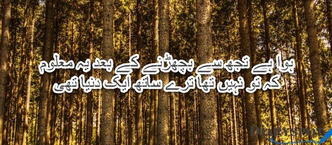 Deep Ahmad Faraz poetry