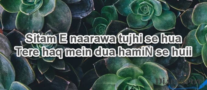 Nasir Kazmi Poetry in Urdu 2 Line