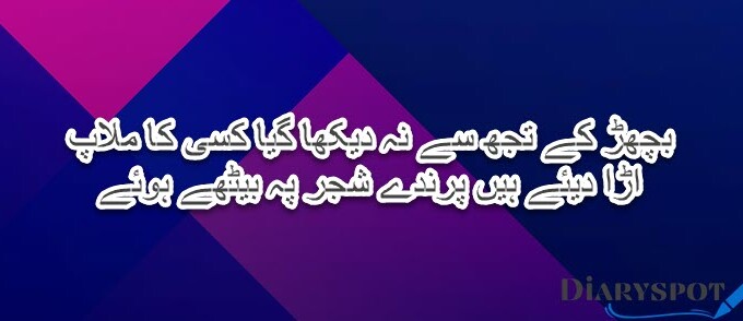 Zaryab Adeem Hashmi