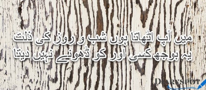 Abbas Tabish biography