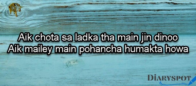 Ibn e insha chand poetry