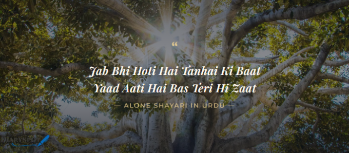 Alone Shayari in Roman Urdu 2 Lines with Lonely Tree