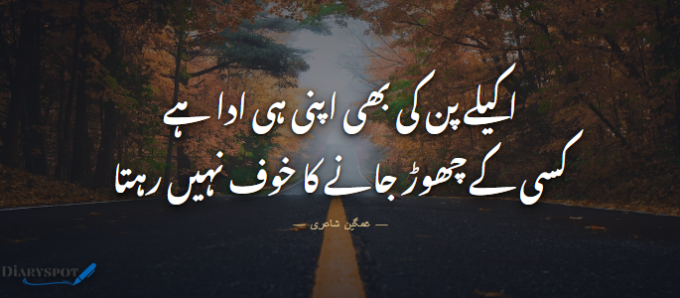 Tanhai Sad Shayari in Urdu 2 Lines with Twilight Road